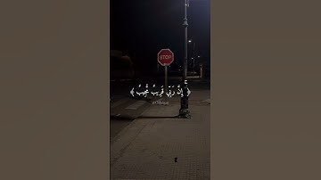 دقيقة من وقتك استمع لتلاوة جميلة 🤍 #قرآن #كريم #آيات #راحة_نفسية