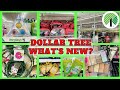 NEW DOLLAR TREE SHOP WITH ME 1/13~WHAT'S NEW AT DOLLAR TREE~$1 HIDDEN GEMS~PLUS BIG GIVEAWAY