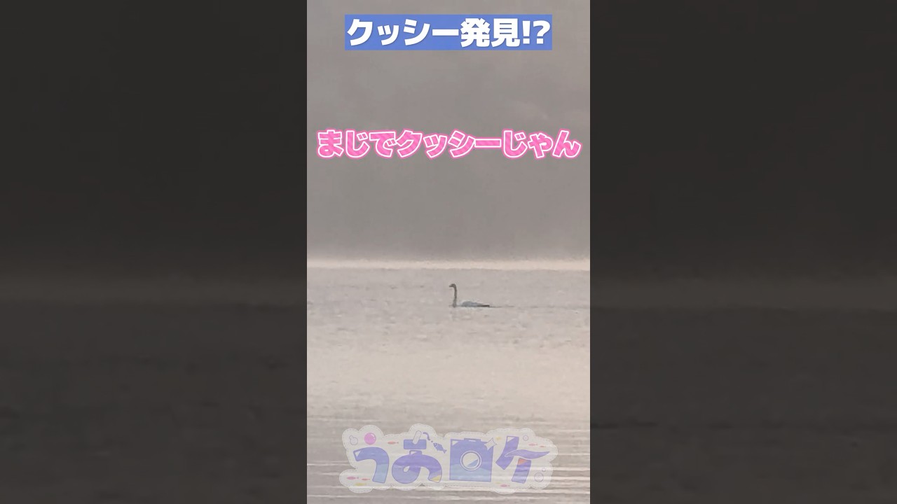 【#うおロケ】未公開シーンpart58:伝説のクッシーを発見!?【#うおむすめ】 #vtuber #shorts