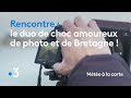 Le duo de choc amoureux de photo et de bretagne   mto  la carte