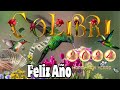 Feliz año 2024 Toca el colibrí de la Abundancia Anuncia la llegada de prosperidad , salud , Amor