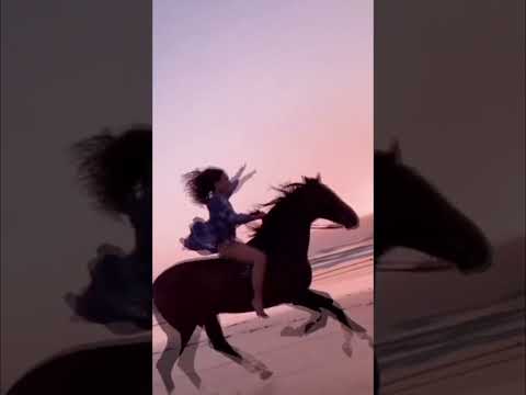 Прогулка на лошадях 24. Horse riding 24.#fantasy #nature #horseslove #horses #horsewomen #riding