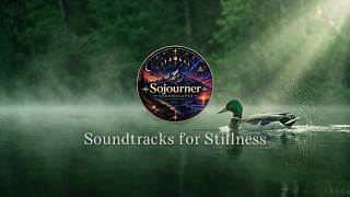 Ducks Flapping in Water with Birdsong | Calming Relaxing Ambient Nature Sounds for Stress Relief