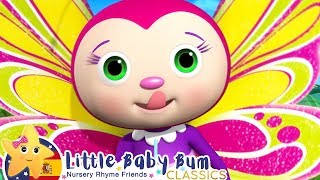 Video thumbnail of "Canciones Infantiles | La Canción de la Mariposa | Dibujos Animados | Little Baby Bum en Español"