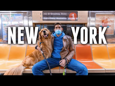 What its Really like to Live in NYC (2022 Honest Update)