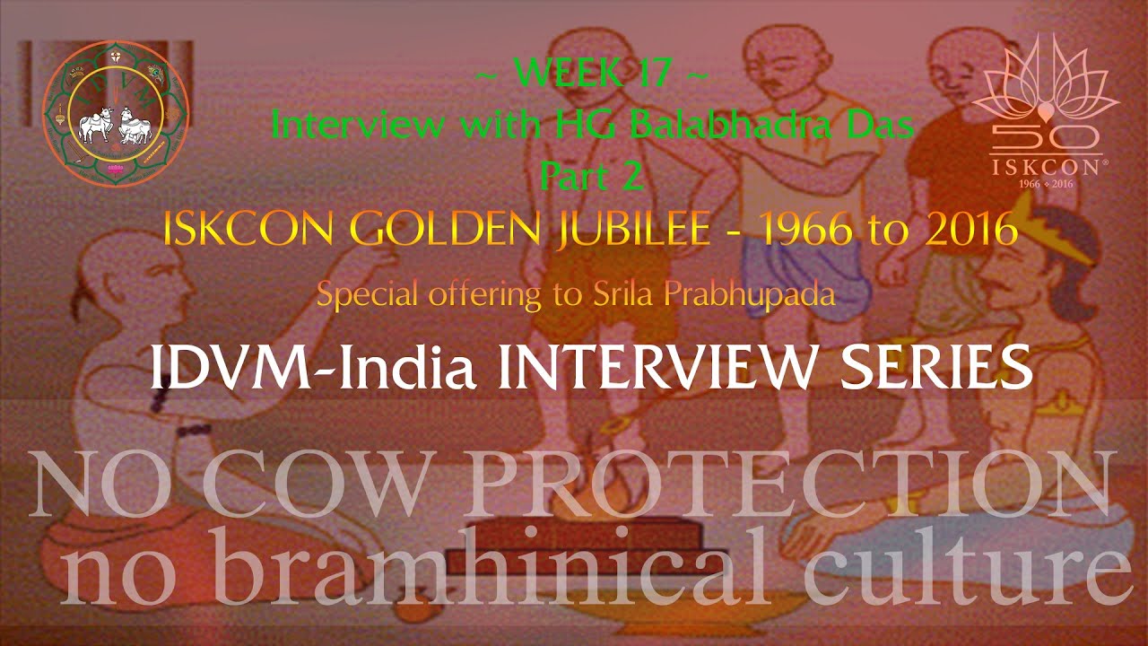 No Cow Protection, No Bramhinical Culture - Interview with HG Balabhadra Das Part 2