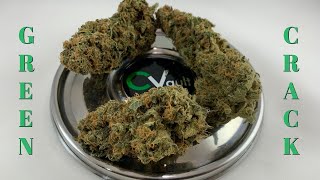 Green Crack by One Love Genetics