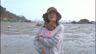 I went to the mud flat to hunt clams with my dog and cried a lot