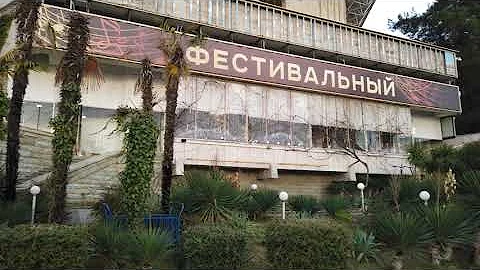 Пальмы в Сочи скоро вымрут, осталось не долго!