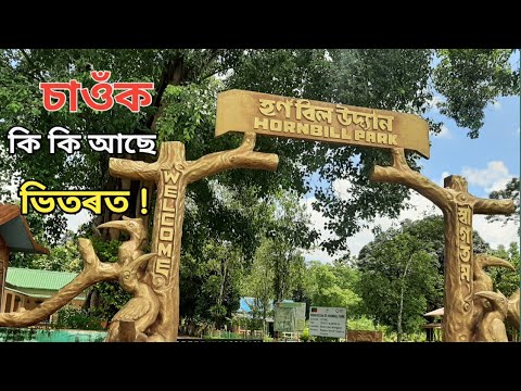 Exploring Hornbill Park Morigaon ||