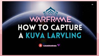 Warframe how to find a kuva larvling