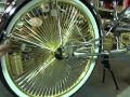 Bicycle Parts - stretch cruiser-coaster-wheel-chain-chainguard