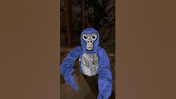 so we have a PROBLEM...  #gorillatag #gorillatagquest #vr #gtag #foryou #fyp #recommended