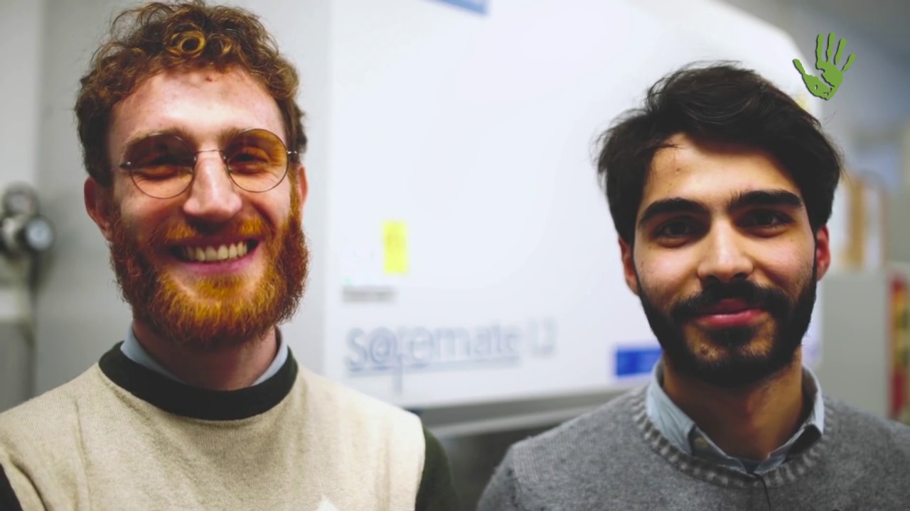 Prodotti industriali dagli scarti della canapa: l'idea di Kanesis - Io Faccio Così #167