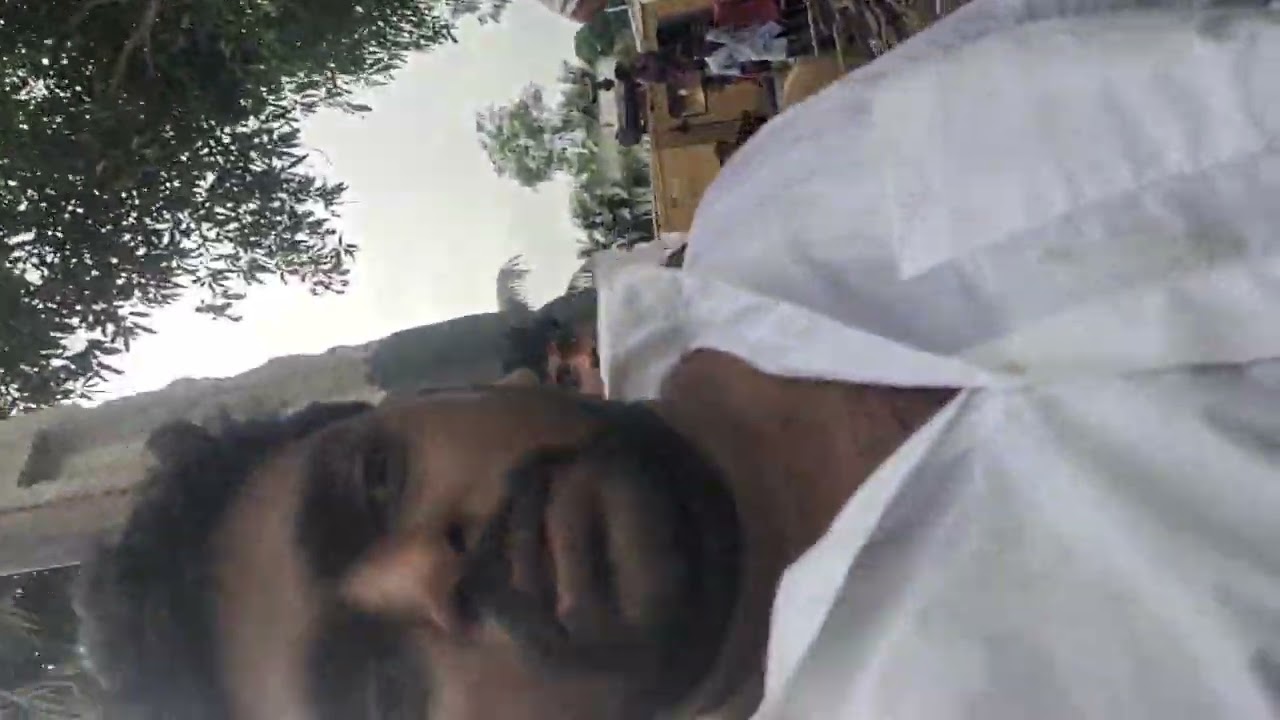 Prabhas house in Mogalthur