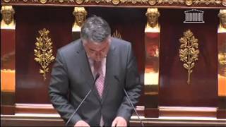 Application de l'article 11 de la Constitution (projet de loi organique et projet de loi)