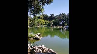 Jaiya John - Do Not Confuse Love (Daughter Drink This Water)