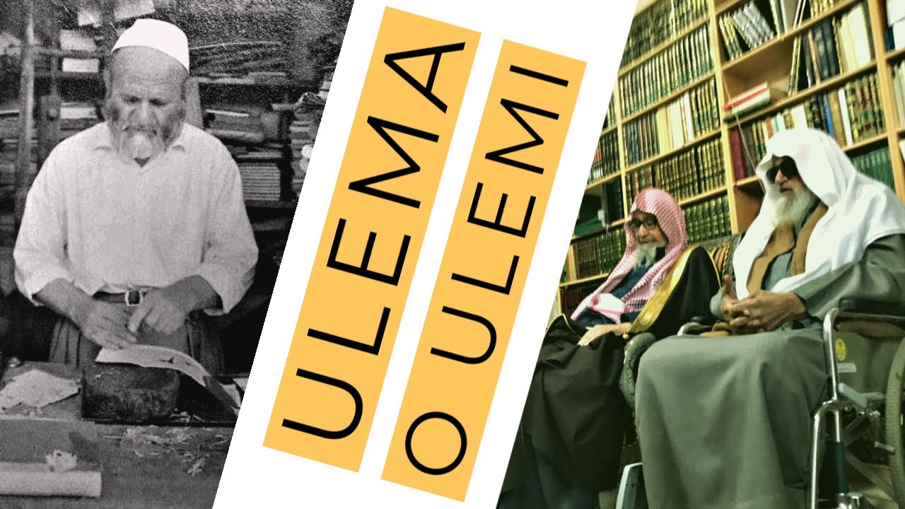 Šta je rekao Abdulmuhsin El-Abbad nakon smrti šejha Albanija?