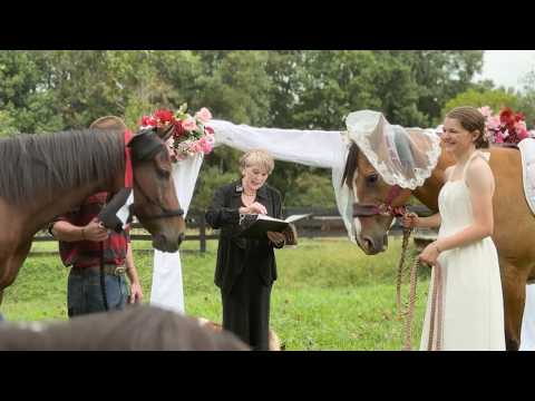 Wedding held for horses who bonded during rehab