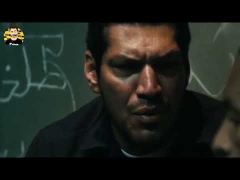 حالات واتس حمو الطيخا