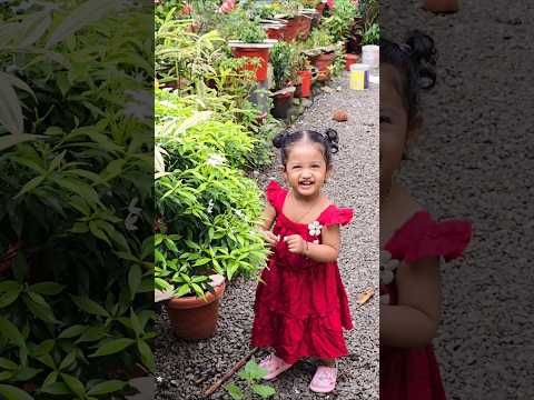 ആരാ അവിടെ പൂവ് പറിച്ചു കളയുന്നേ 😄 #babygirl #cutebaby #cutebabies #babyshorts #babylove