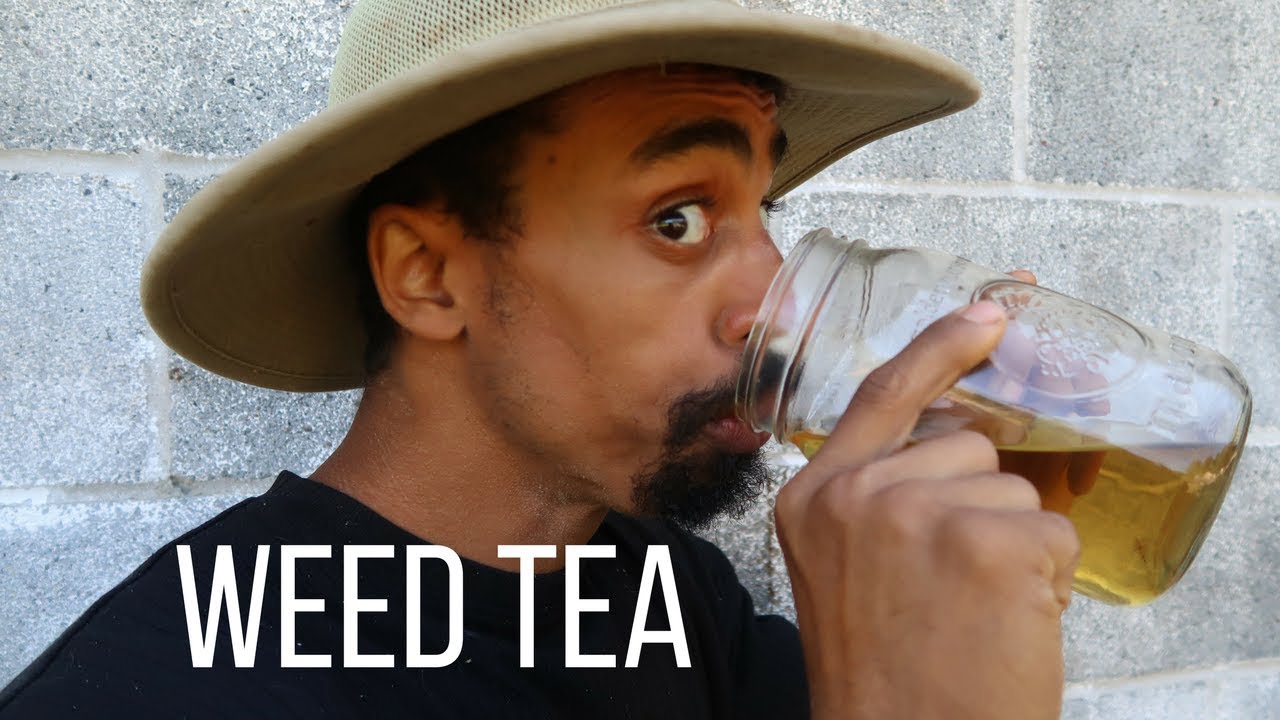 HOW TO MAKE TEA FROM UNWANTED PLANTS IN YOUR YARD!! YouTube