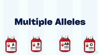 Episode 3/3 Multiple Alleles