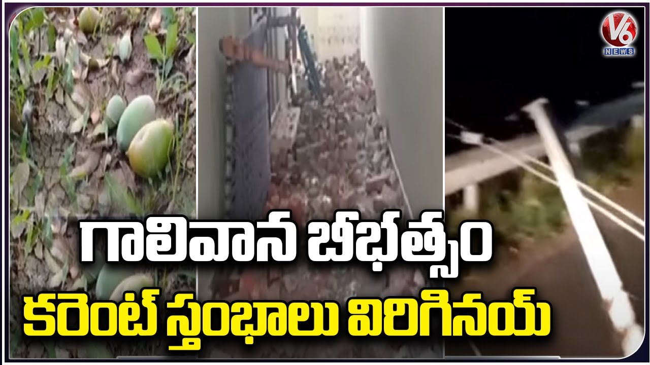 Huge Crop Damage Due To Heavy Rain With Hailstorm | V6 News - YouTube