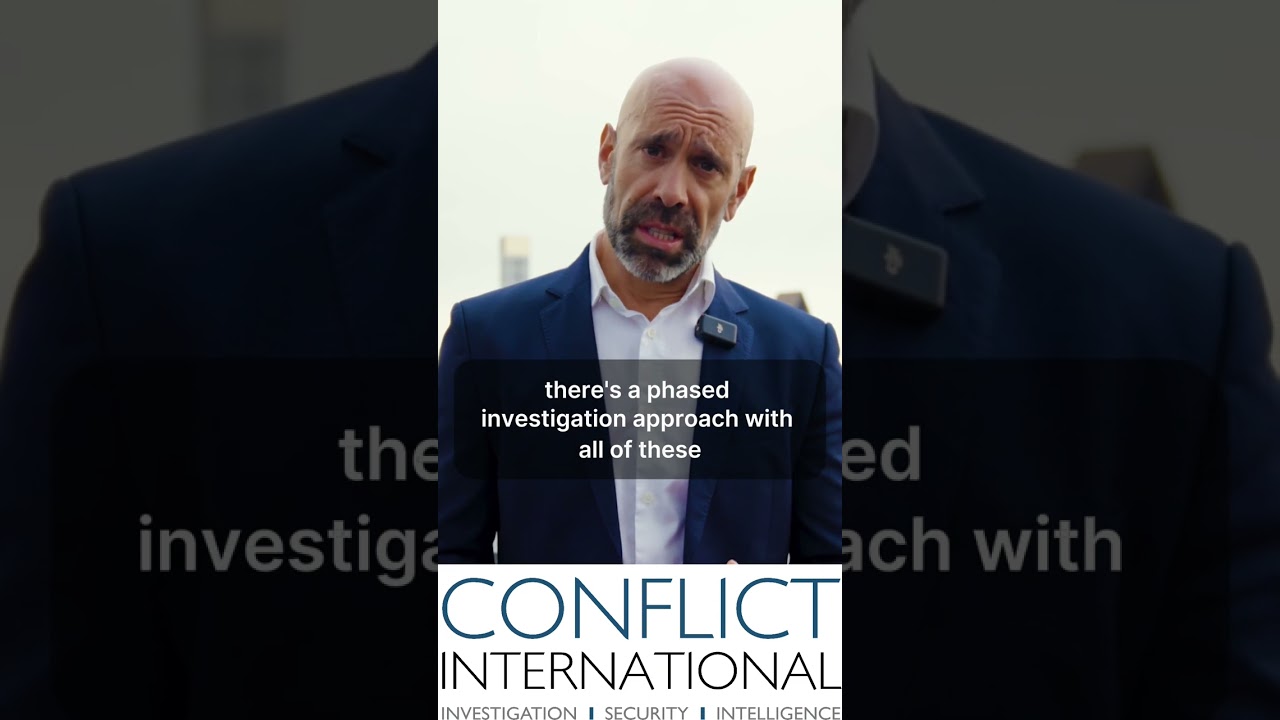 Expert Fraud Investigation and Risk Reduction