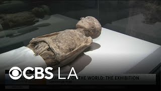 A Preview Of Mummies Of The World The Exhibition In Los Angeles
