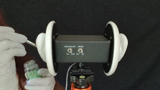 ASMR - Putting Stuff in Your Ears - Reverse Ear Cleaning - Gloves, Normal Speaking