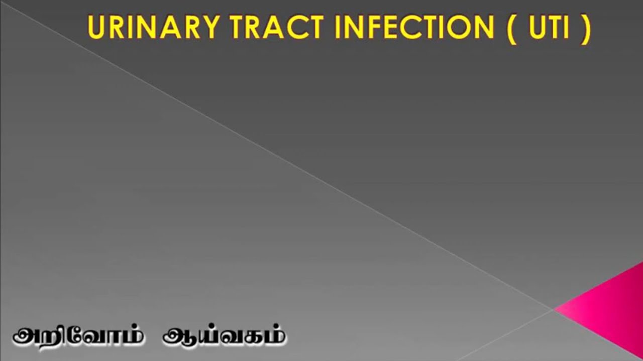 Urine for culture in Tamil YouTube