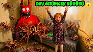 DEV ÖRÜMCEK SÜRÜSÜ HER YERDE😱 BANBANIN PLANI SUYA DÜŞTÜ😱 ÖRÜMCEKLER GİTMEK BİLMİYOR😰@elifsinemtv 
