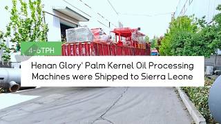 4-6 TPH Palm Nut Cracking and Separator Machine Shipped to Sierra Leone 🇸🇱