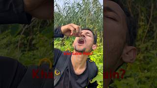 Bear Grylls Style Jungle Survival 🔥 #shorts #viral #survival #bushcraft #explore #shortfeed