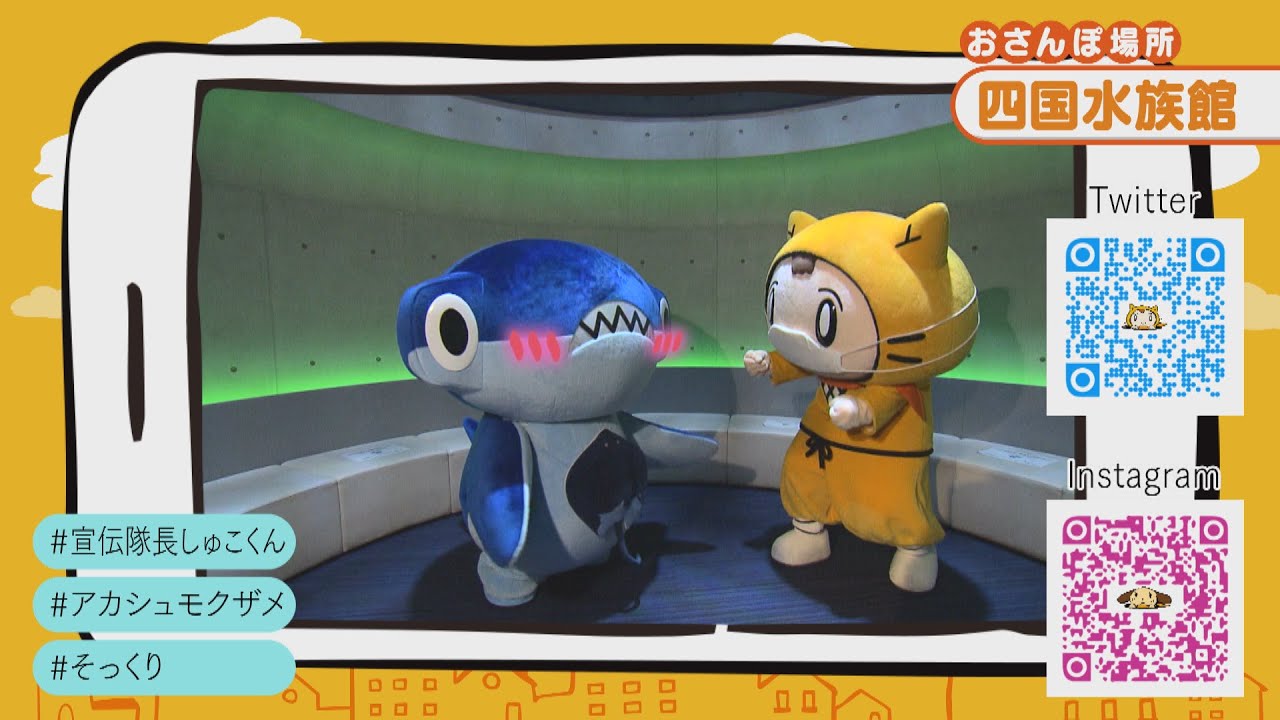 【四国水族館×シノビーとよふかし】しゅこくんオススメ♪香川うどん・オリーブソフトも！