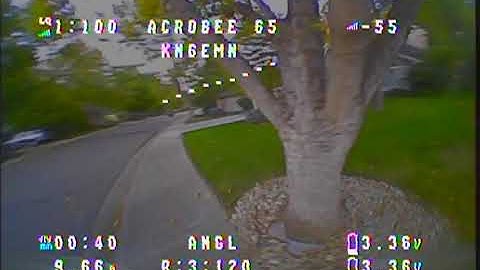 Acrobee65 blv3 back yard VTx test