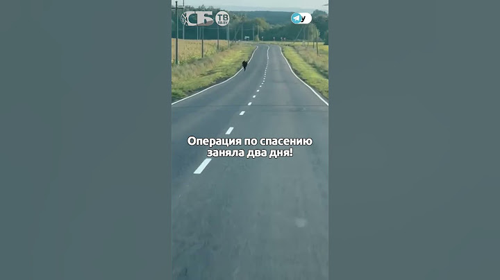 Спасение солдата у Курской границы! Срочник вырвался из окружения ВСУ