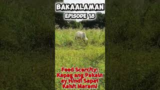 BAKAalaman Episode 18 - Feed Scarcity: Kapag ang Pakain ay Hindi Sapat Kahit Marami