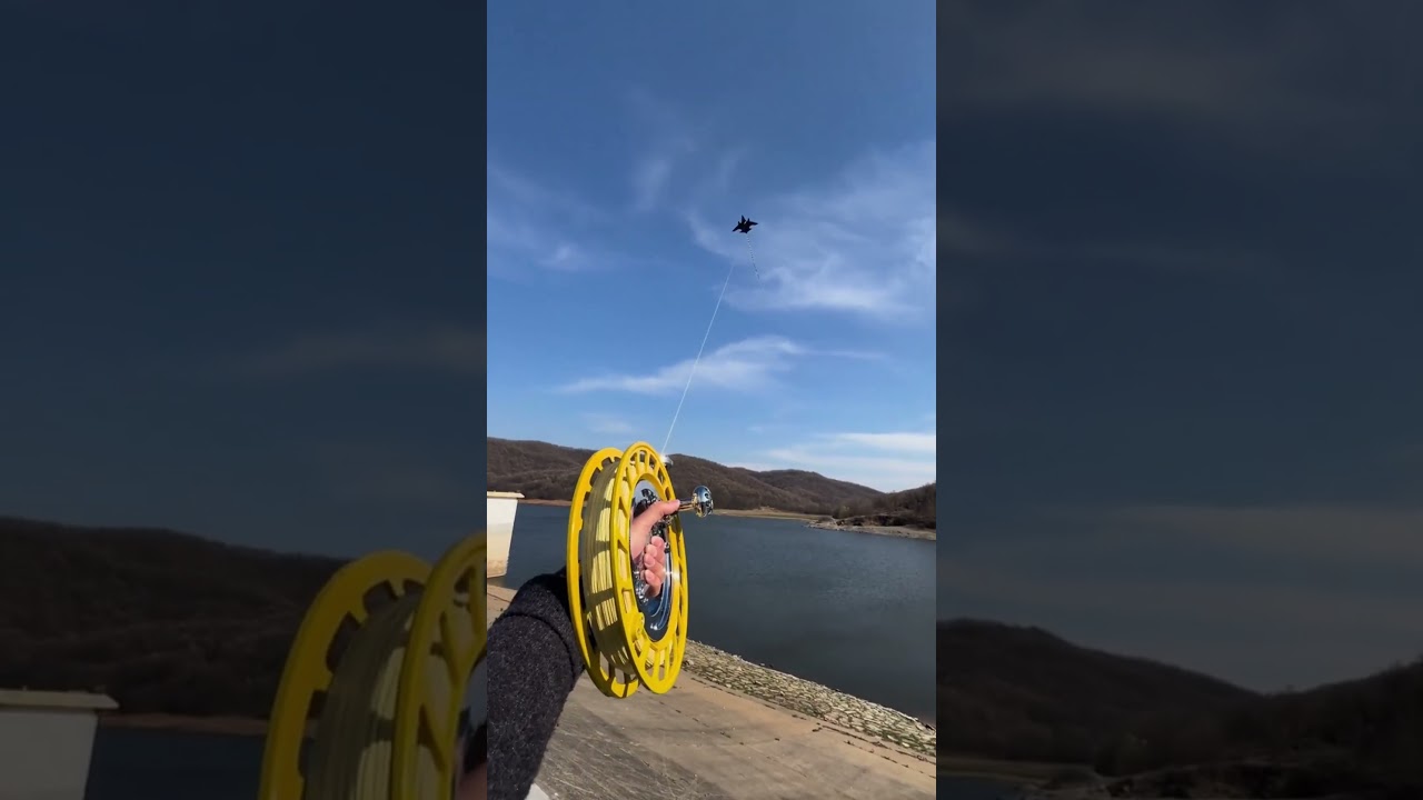 The Majestic Flight of a Kite 🪁