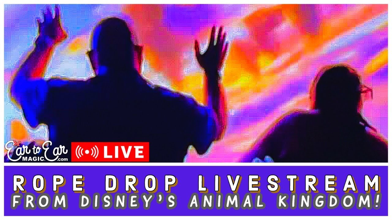 🔴 LIVE Rope Drop Livestream Disney’s Animal Kingdom 5/6 YouTube