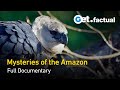 Animal River Challenge: Guyana&#39;s Hidden Creatures | Full Nature Documentary