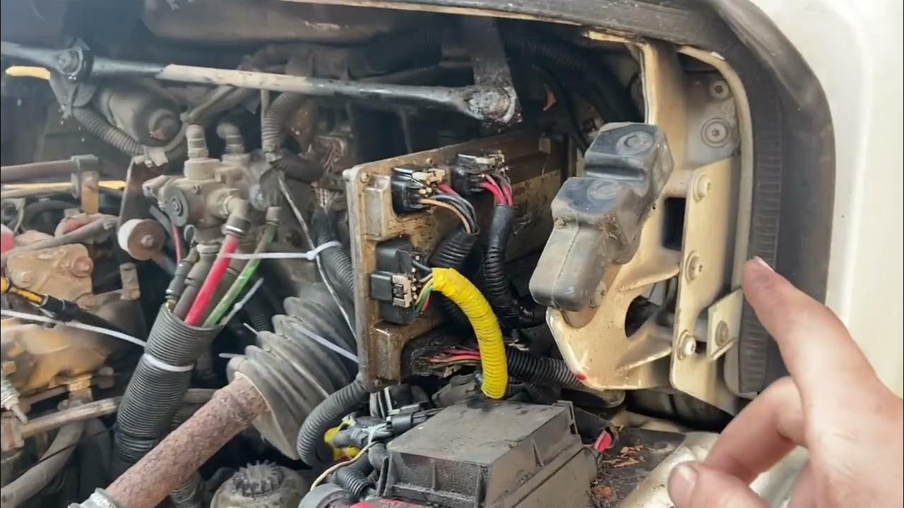 Freightliner M2 Flashing signal lights YouTube