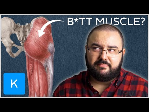 Want to easily learn muscle anatomy? TRY THIS.
