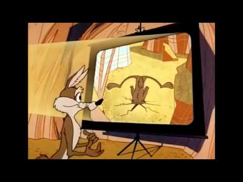 Ranker Video