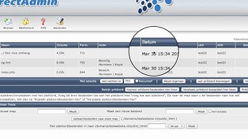 WebOke.nl | Domeindoorsturing aanmaken in DirectAdmin (redirect)