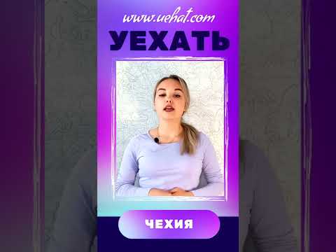Кондитер в Чехии #shorts