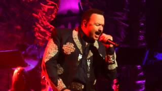 Hermoso Cariño - Pepe Aguilar