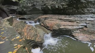 Finger Lakes bed and breakfast, Airbnb say business is high despite pandemic: 'people feel safe here
