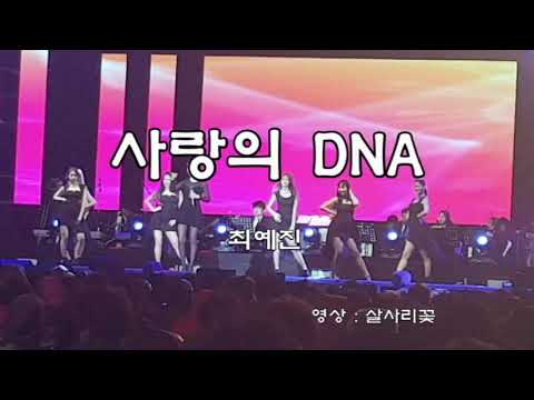 최예진   💖사랑의 DNA 💖(가사)